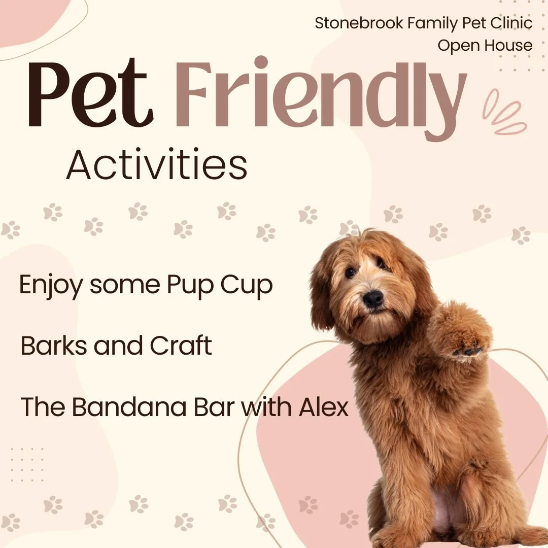 🎉🐾 Join Us for a Kid &amp; Pet-Friendly Open House! 🐾🎉

Come have fun with the whole family this Saturday, November 8th, from 1-3 PM at Stonebrook Family Pet Clinic!

We can&rsquo;t wait to see you and your furry friends!