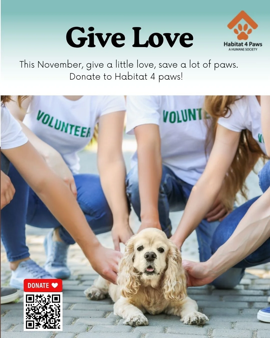 🦃🐾 This Thanksgiving, let&rsquo;s give thanks by giving back! Help Habitat 4 Paws care for and rehome pets in need. Every donation brings hope, love, and a warm place to call home. ❤️

👉 Donate today: https://bit.ly/3JBszE1 
Give thanks, give love