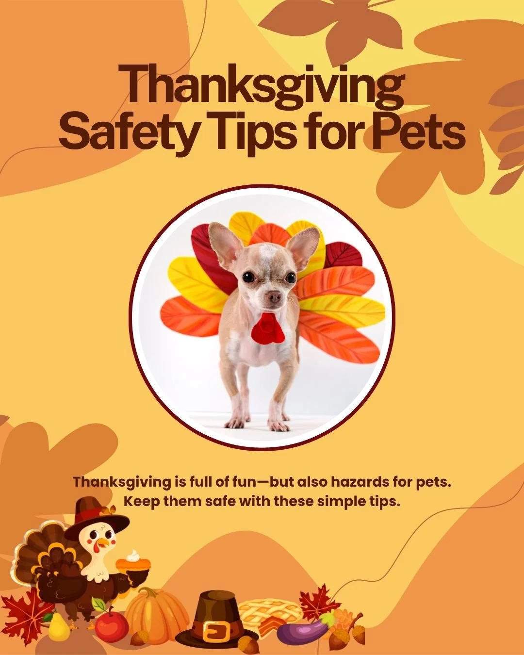 🍂🦃 Thanksgiving fun is around the corner &mdash; but don&rsquo;t forget to keep your furry friends safe! 🐶🐱
From increased foot traffic to tempting decorations and crazy costumes, the holiday brings extra risks for pets. 

AAHA shares key tips to