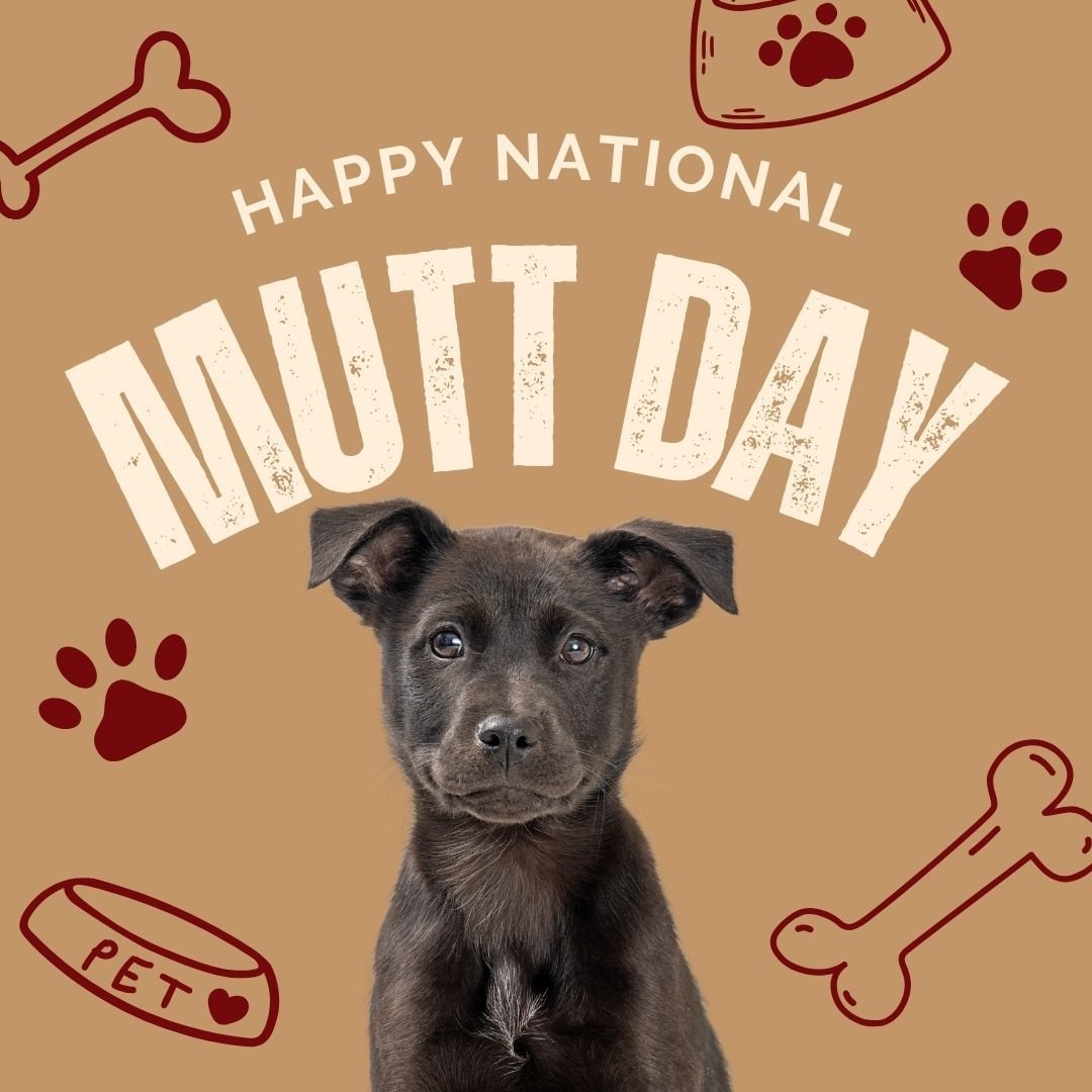 Mixed breed, pure love. Happy National Mutt Day! ❤️🐾
Celebrate with us&mdash;share a photo of your amazing mutt in the comments!
