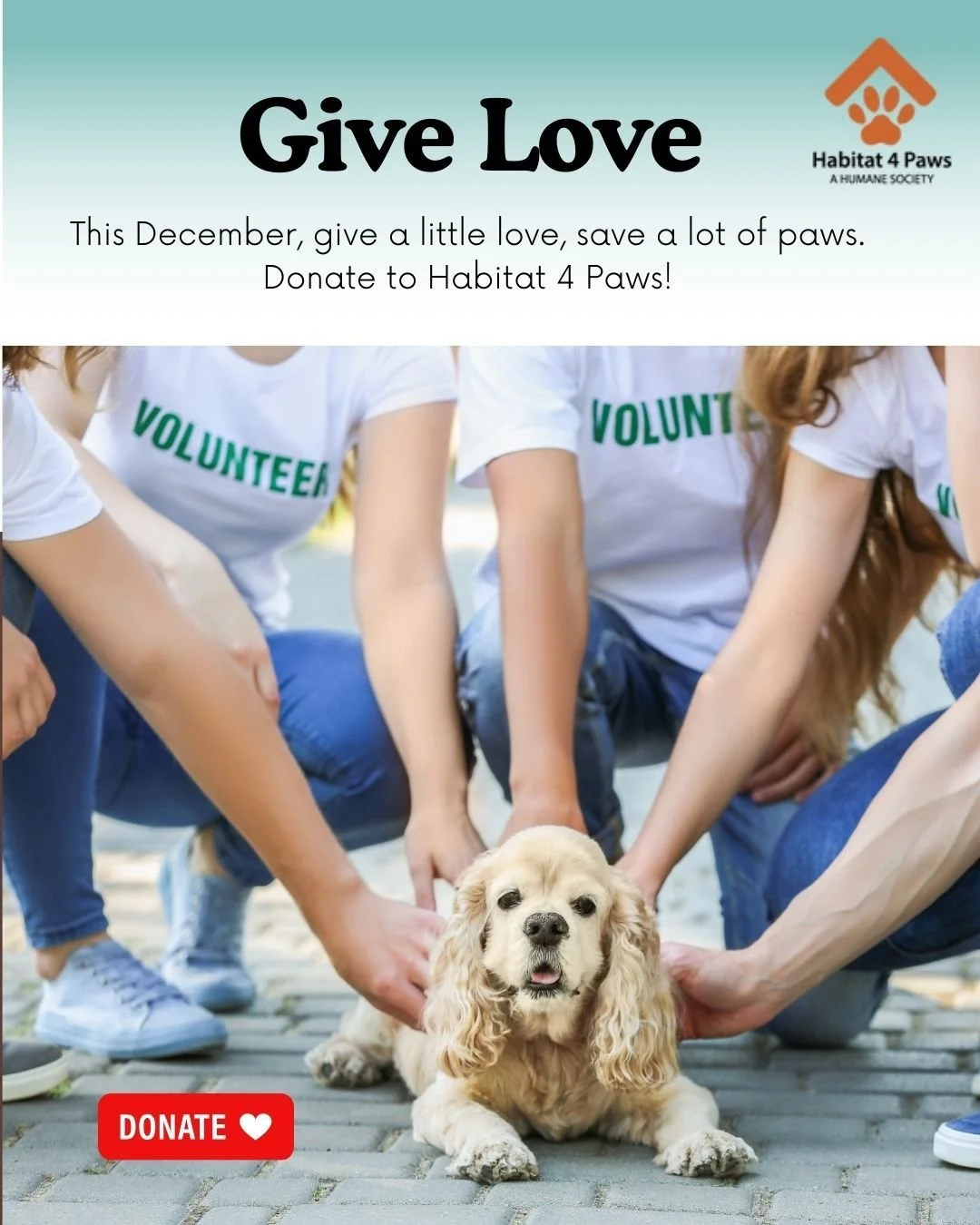 Spread some holiday ❤️ this December! Your donation to Habitat 4 Paws helps save paws and warm hearts. 🐾🎄 

Link in Bio