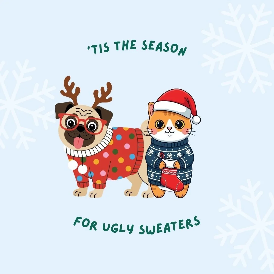 Proof that even ugly sweaters are better with paws 🐾🎄 Happy Ugly Sweater Day!