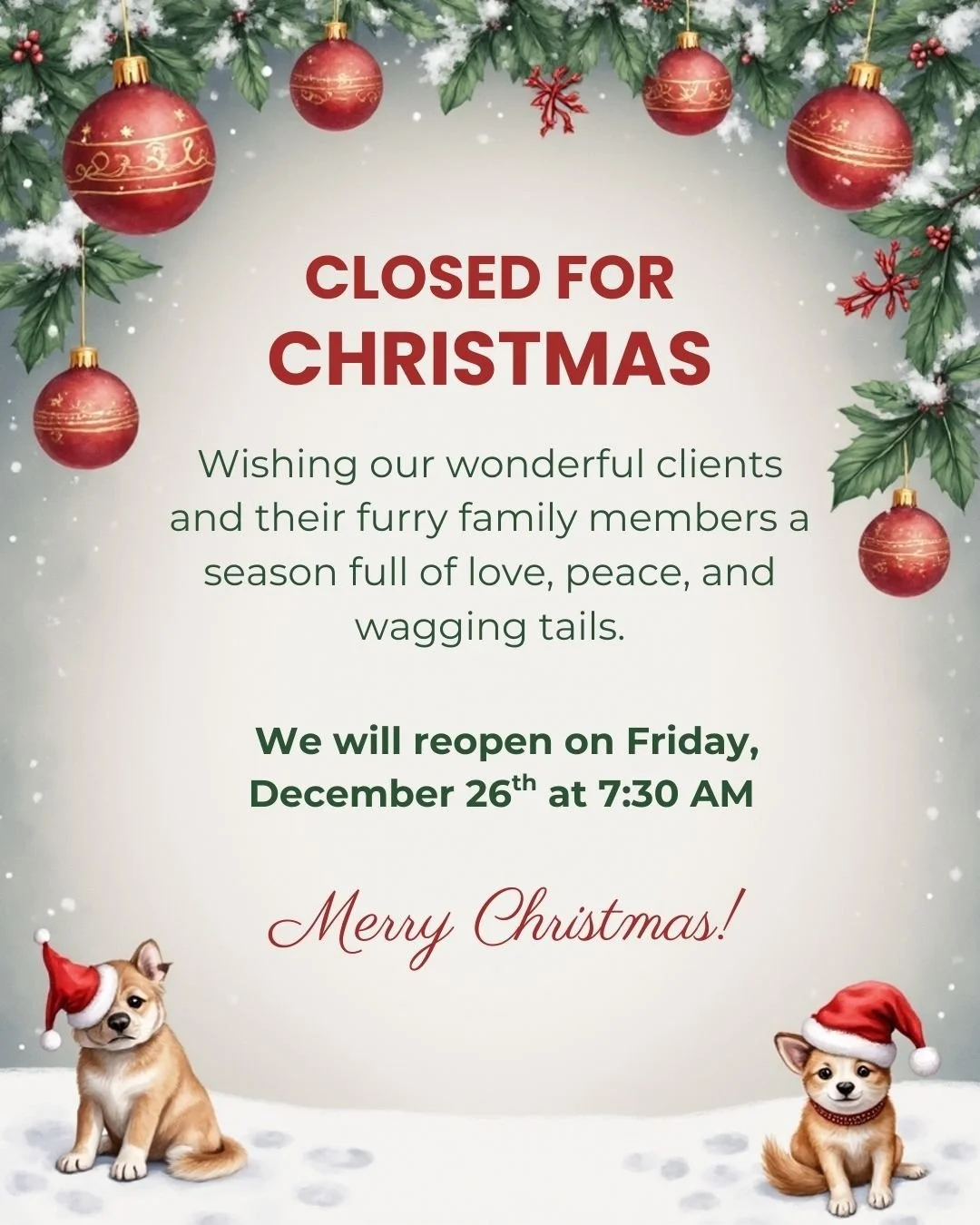 From our family to yours, we wish you a very Merry Christmas! 🎄❤️
Have a safe and joyful holiday. 🐾✨
We will reopen tomorrow, December 26, at 7:30 AM.