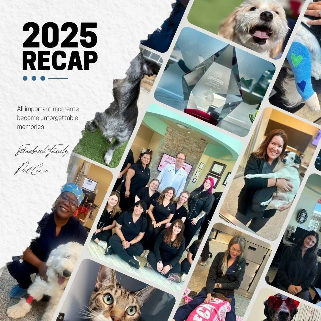 Celebrating Our 2025 Wins at Stonebrook! 🐾🎉

This year was one for the books, and we&rsquo;re so proud of what our team accomplished together. 💙

✨ We were honored to be named an AAHA Practice of the Year Finalist, recognizing our commitment to go