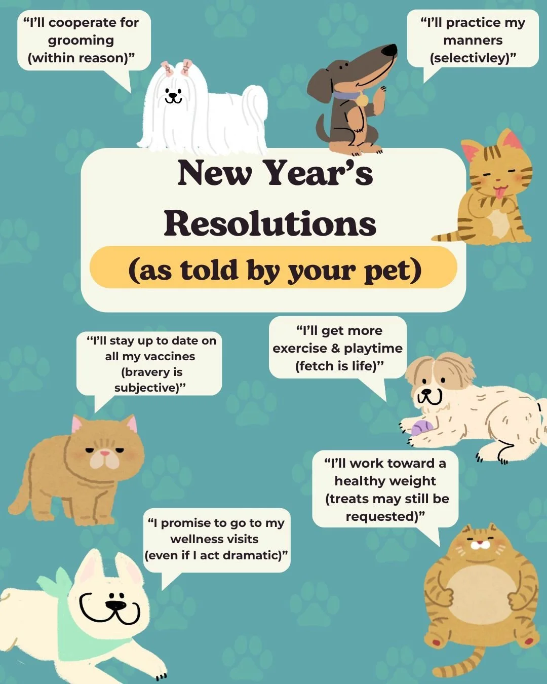 POV: Your pets write New Year&rsquo;s resolutions...

What are your pet&rsquo;s New Year&rsquo;s resolutions? Share them in the comments below and let&rsquo;s celebrate all the little (and big) ways our pets make life brighter every day! ✨

Here&rsqu
