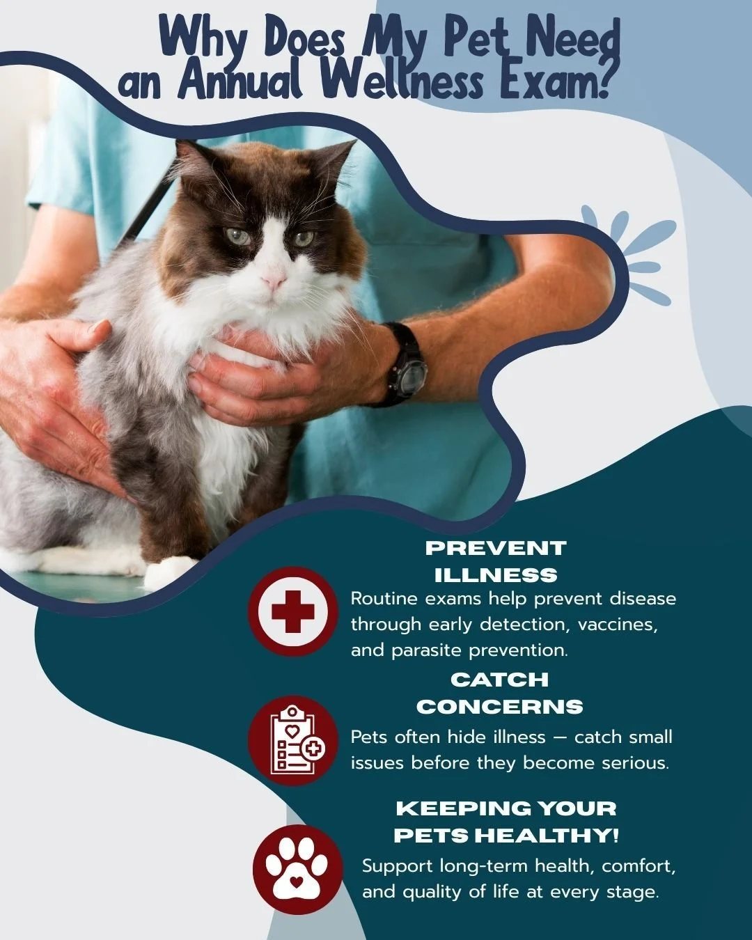 A new year is a great reminder to check in on the ones who can&rsquo;t tell us how they&rsquo;re feeling &mdash; so let&rsquo;s start it right! 🐾✨

With wellness exams, we can spot subtle changes in weight, behavior, mobility, dental health, and org