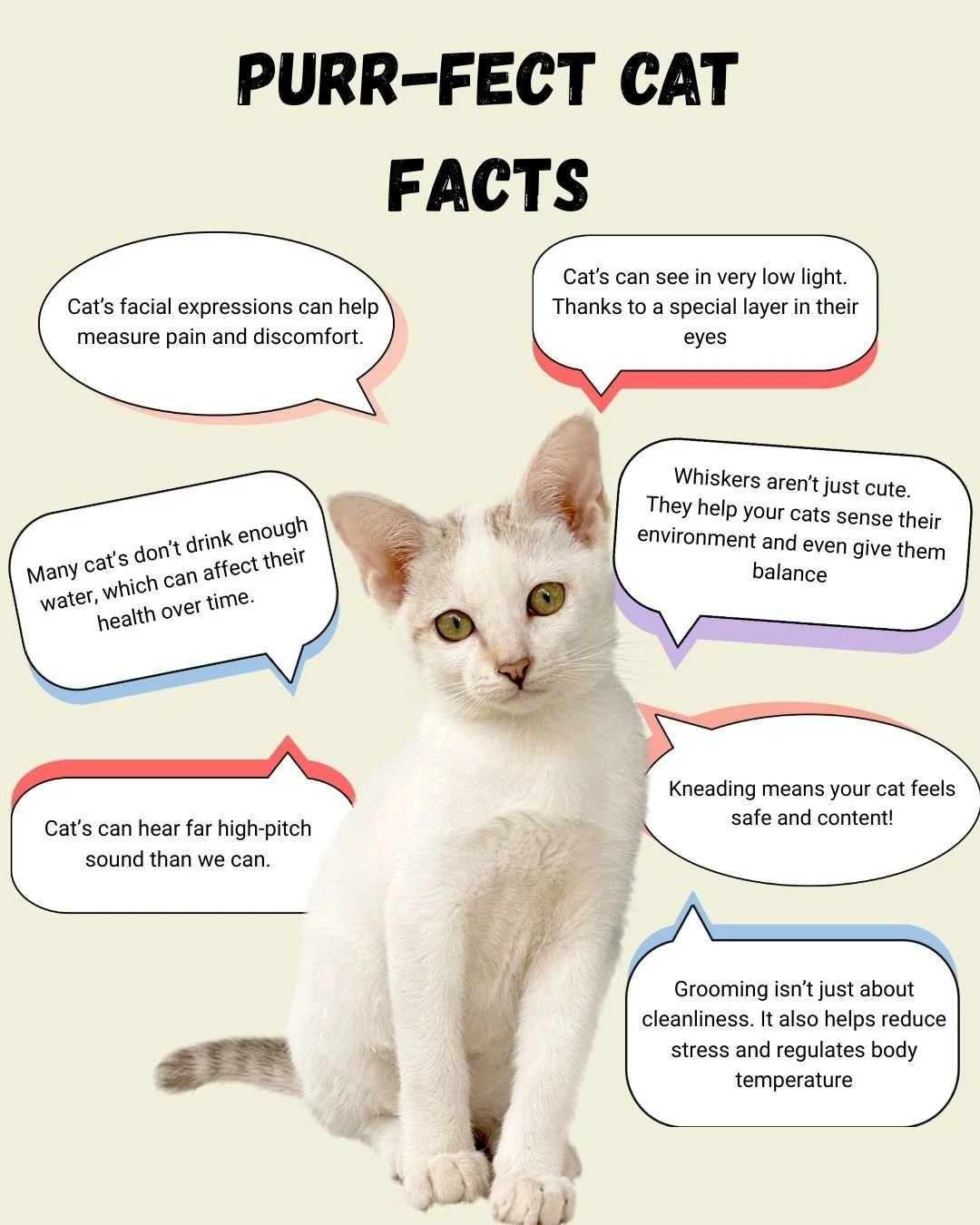 Cats can be complex, but understanding them helps you provide better care. Here are some fascinating feline facts! 😺🐾

Learn more: link in bio