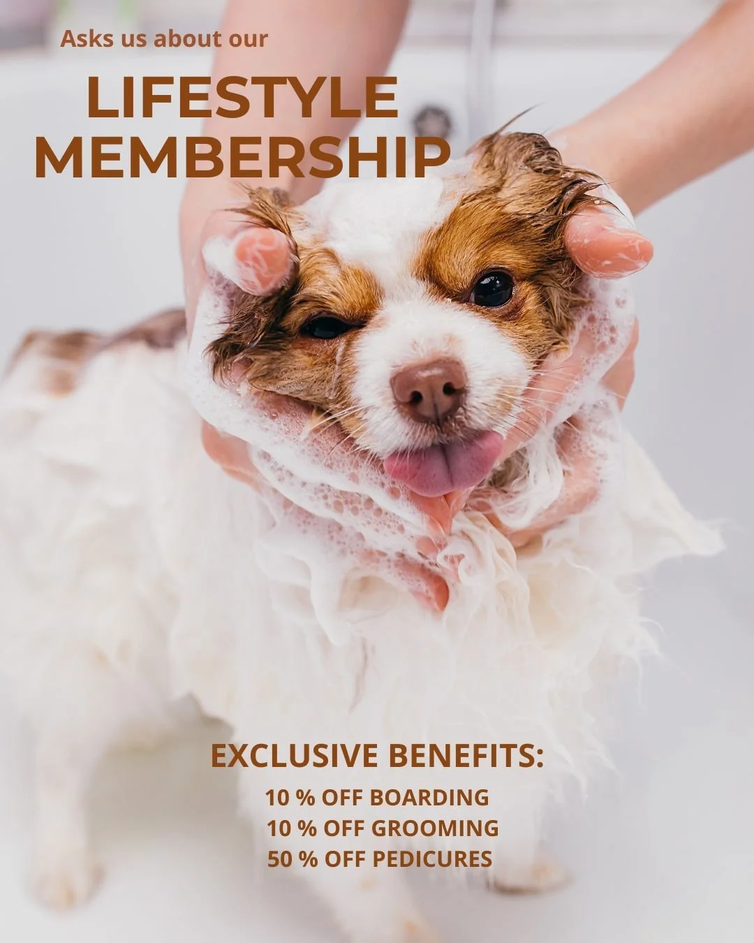 Travel plans coming up? ✈️
Hard keeping up with grooming? ✨

Our Lifestyle Membership will be perfect for you! 🐾
Enjoy 10% off boarding &amp; grooming and 50% off pedicures for $100/year 🐶🐱

Call us at 972-712-3200 for more information!