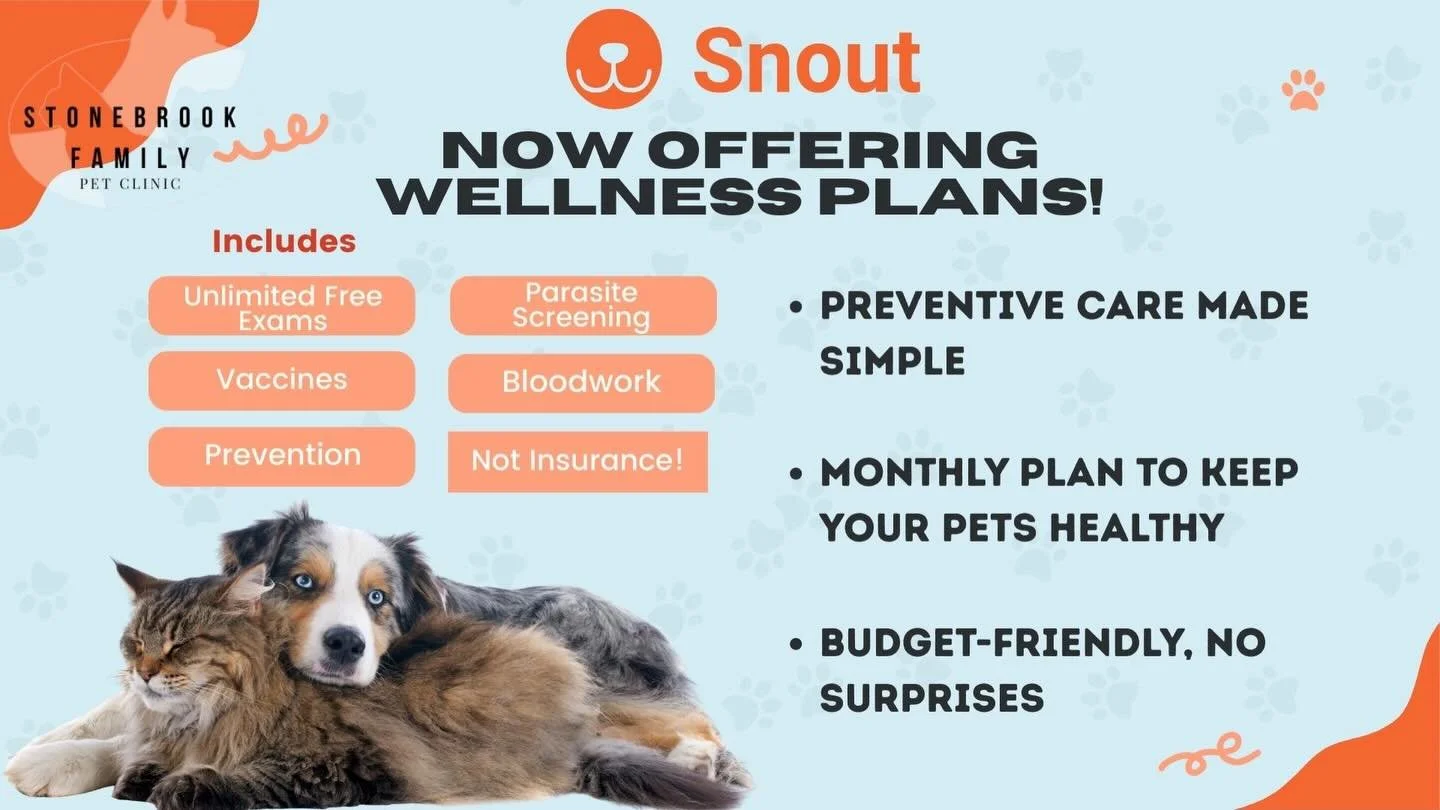 🐾 Wellness for your fur-baby just got easier (and fluffier)! 🐾

If you didn&rsquo;t know already, we&rsquo;re offering monthly wellness plans through Snout here at Stonebrook Family Pet Clinic&mdash;making care for your pet simple and stress-free. 