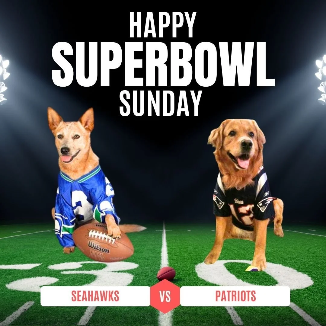 🏈📸 Super Bowl Sunday is here! We want to see your pets getting in on the fun! Send us a pic of your furry fan watching the game! 🐶🐱🐾