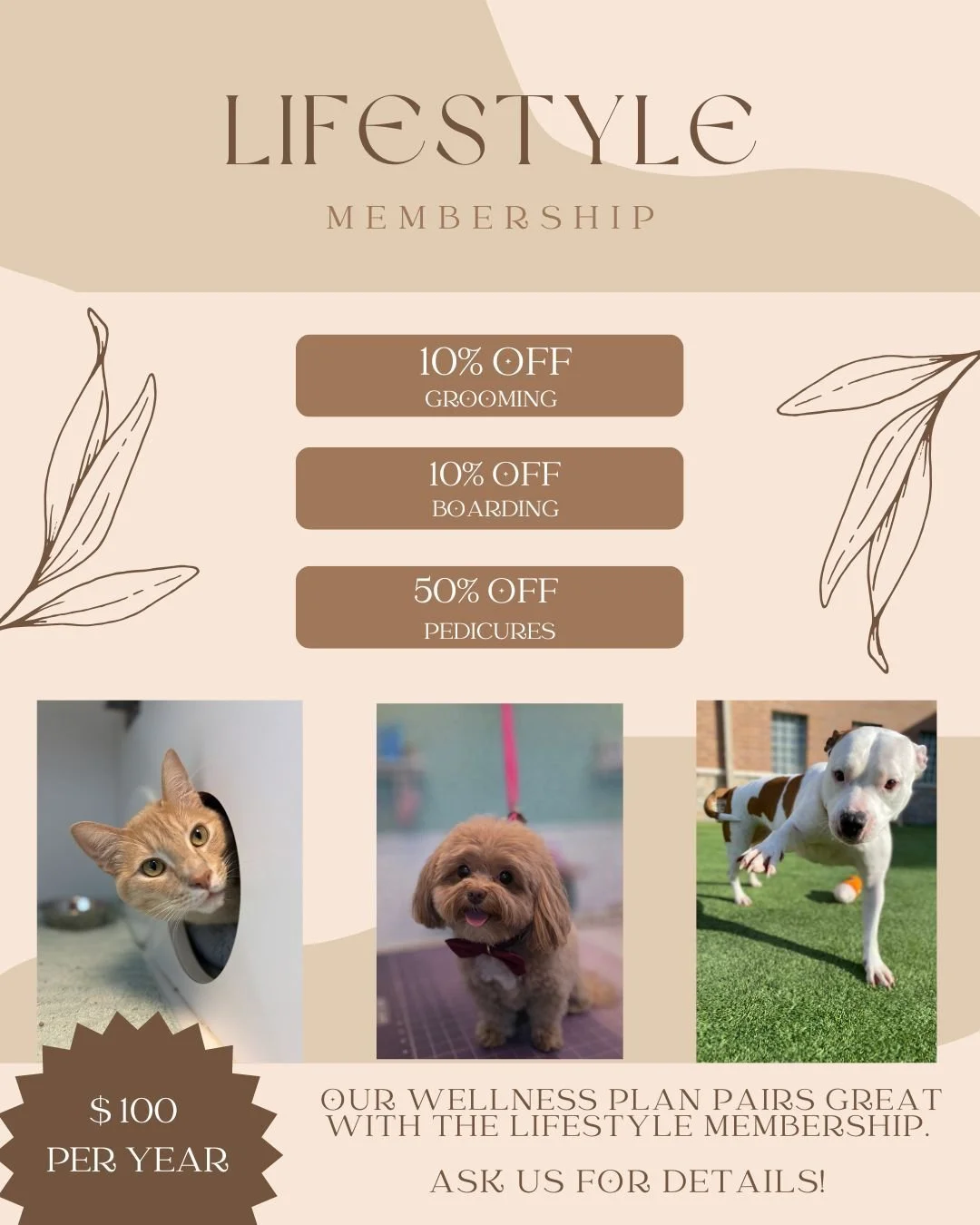 Save more, stress less 🐾✨
Our Lifestyle Membership = $100/year per pet
Includes 10 % off grooming + boarding savings AND 50% off pedicures! 💛
Pairs perfectly with our Wellness Plans 🩺🐶🐱
🔗 Link in bio for more information!