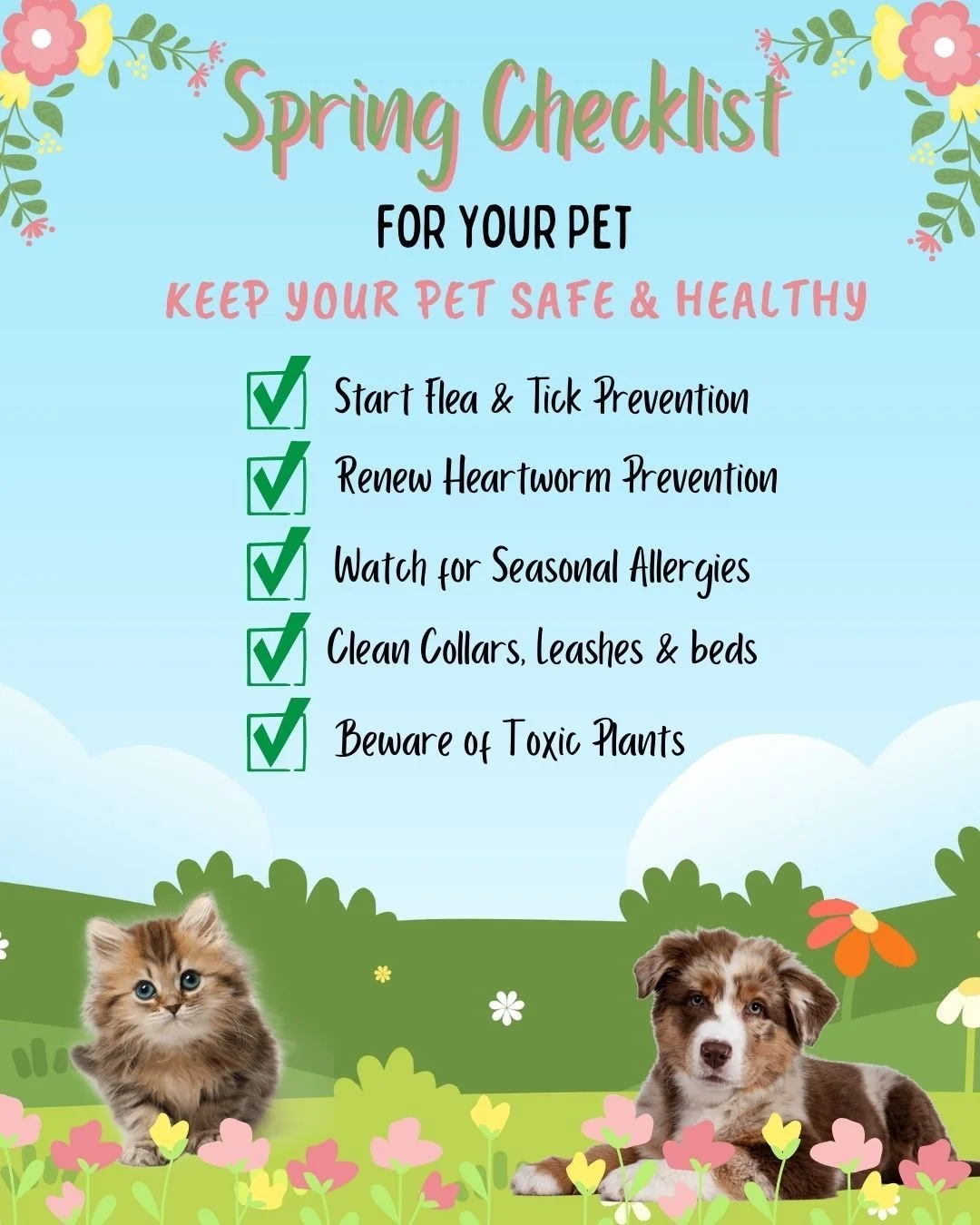 ☀️🌸 Warmer weather is coming!

With spring temperatures rising, it&rsquo;s time to think about flea &amp; tick prevention, heartworm protection, allergies, and outdoor safety.

A little prevention now keeps your pets safe all season long 💚

Read th