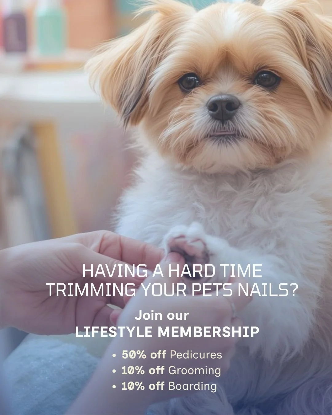 Happy paws = happy pets. 🐶🐱

Keep those tails wagging with 50% off pedicures and 10% off boarding &amp; grooming when you join our Lifestyle Membership.