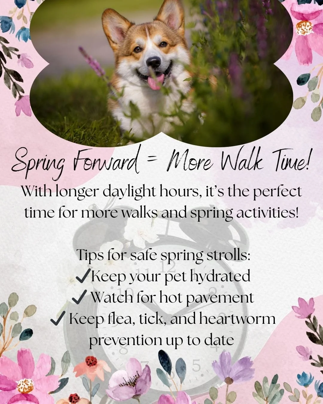 Spring Forward is here! 🐶🐱🌼

Longer days and warmer weather mean more time outside with our furry friends! ☀️🐾 Spring is the perfect season for walks, fresh air, and exploring new smells. Just remember to keep your pets safe while enjoying the su