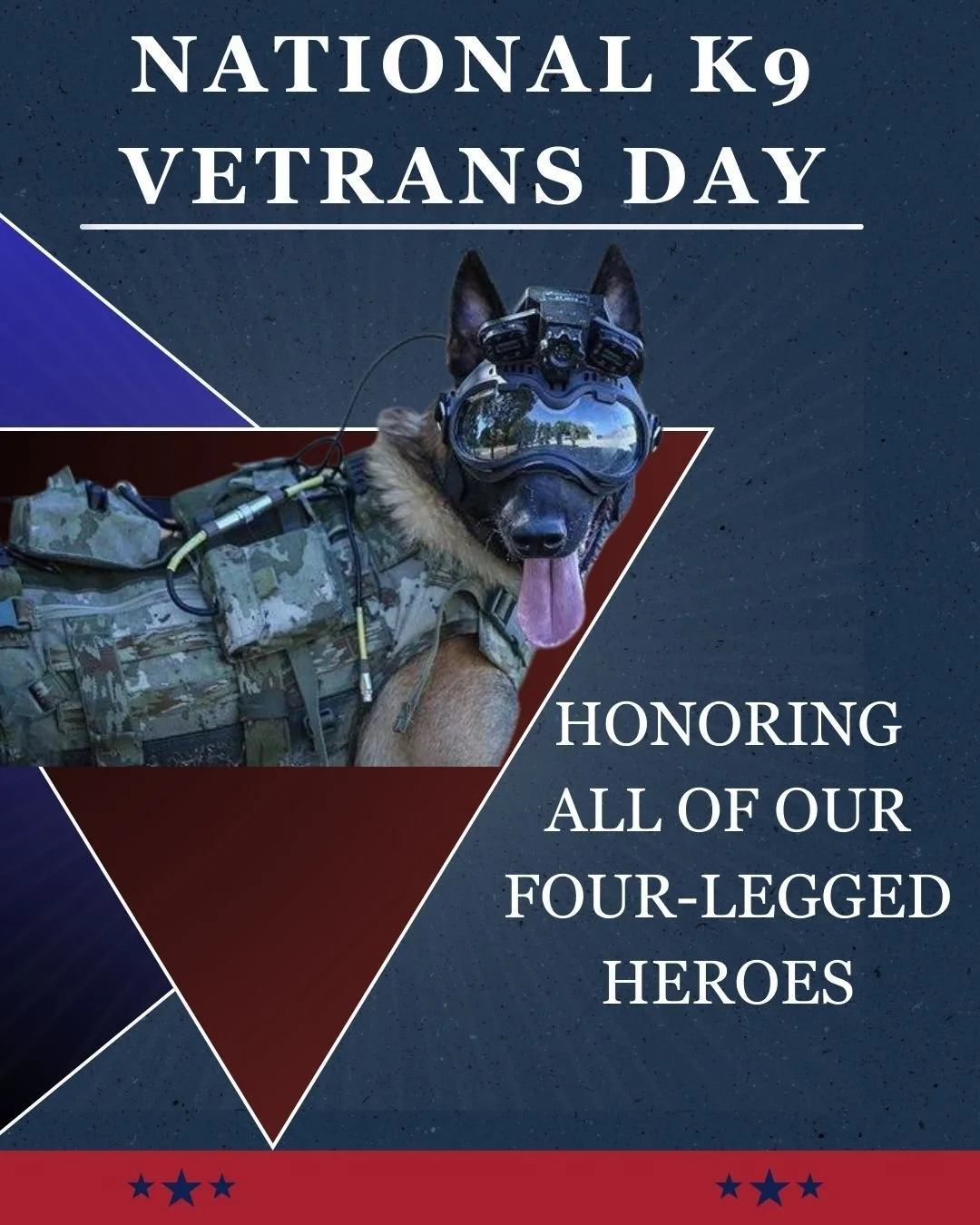 🐾 Happy National K9 Veterans Day! 🐾

Today, we honor the brave K9s who have served alongside our military and police heroes. These incredible dogs have saved lives, tracked missing persons, detected explosives, and kept our communities safe&mdash;a
