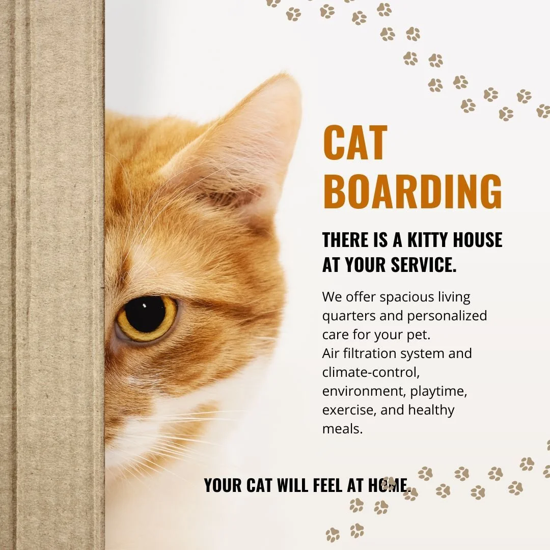 🐾 Cat Boarding You Can Trust 🐾

Give your cat a cozy stay with spacious suites and personalized care. Enjoy a clean, climate-controlled space with daily playtime, exercise, and healthy meals.

Come take a tour and see the difference for yourself 💛