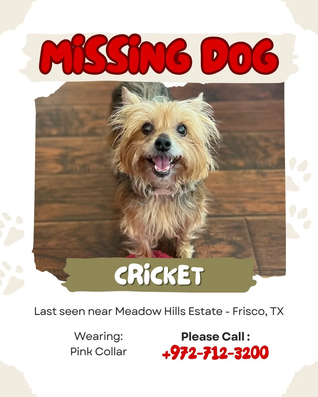 🚨 MISSING PET &ndash; PLEASE HELP US FIND CRICKET 🐾

Cricket is a Yorkie, almost 15 years old, and is microchipped. She is very loved and we want to help bring her home safely. 💙

If you see Cricket or have any information, please call us right aw