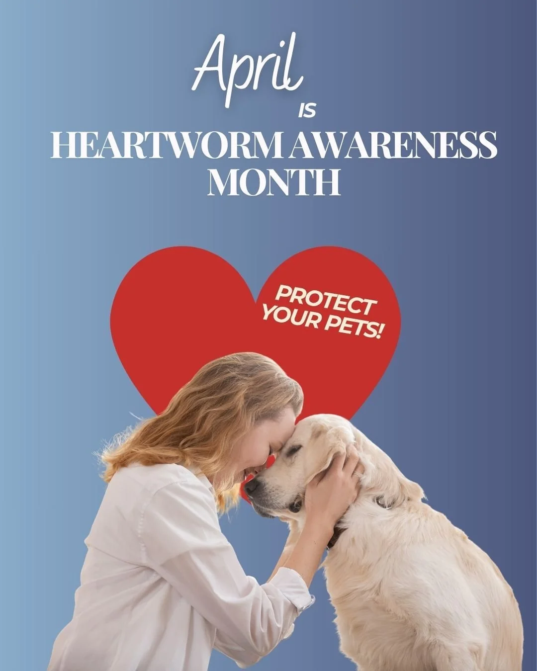 April is Heartworm Awareness Month ❤️🐾

Heartworm disease is serious&mdash;but completely preventable. Spread by mosquitoes, it can affect even indoor pets.

Protect your pet with year-round prevention and stay ahead of the risk!

📚 Learn more: Lin