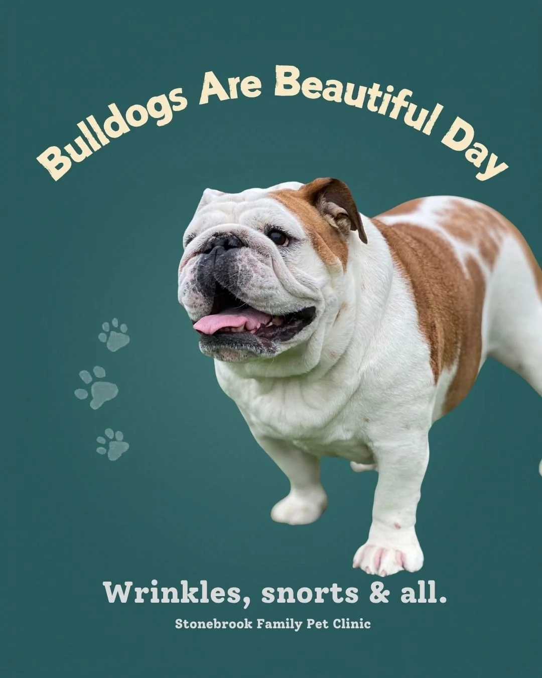 Wrinkles? Iconic. Snorts? Music to our ears. Bulldogs? Absolutely beautiful. 🐾😍

Happy Bulldogs Are Beautiful Day to every smooshy-faced babe out there! We have a special place in our hearts for our bulldog patients &mdash; their personalities are 