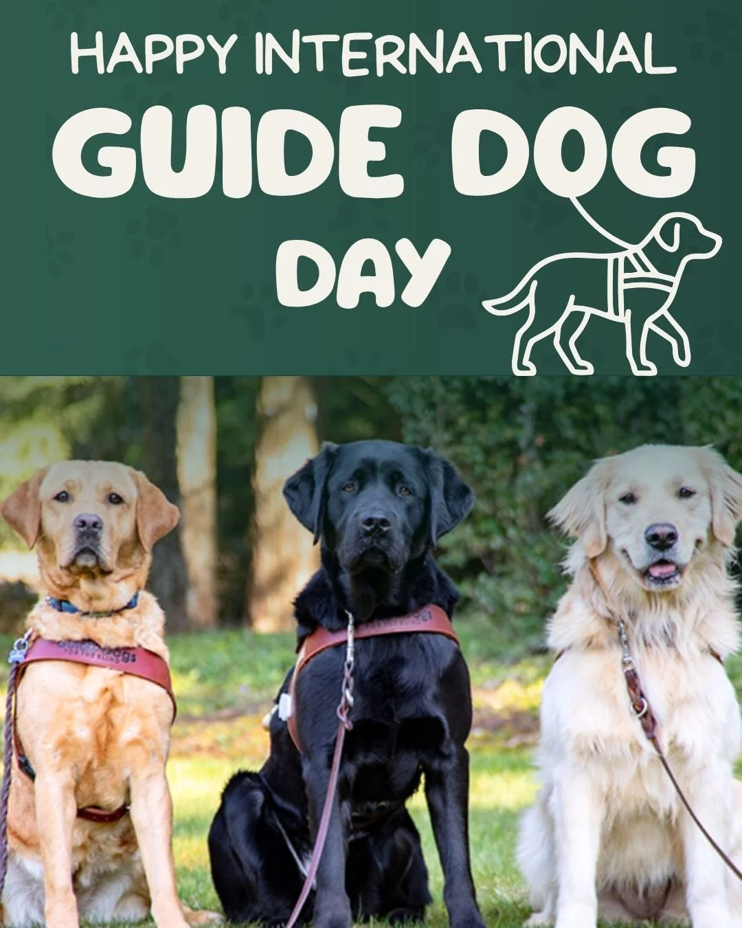 Happy National Guide Dog Day! 🐾❤️

Celebrating the amazing guide dogs who give independence, confidence, and unconditional support every day&mdash;true heroes with paws!

Fun fact: Guide dogs are trained to practice &ldquo;intelligent disobedience,&