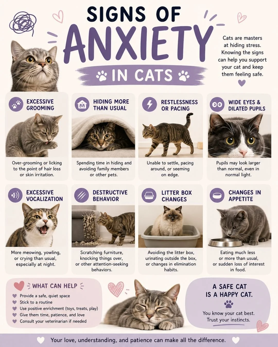 Cats are great at hiding stress, but signs like over-grooming, hiding, or appetite changes can signal anxiety.

If your cat seems off, trust your instincts. 🐾

When in doubt, give us a call at 972-712-3200.