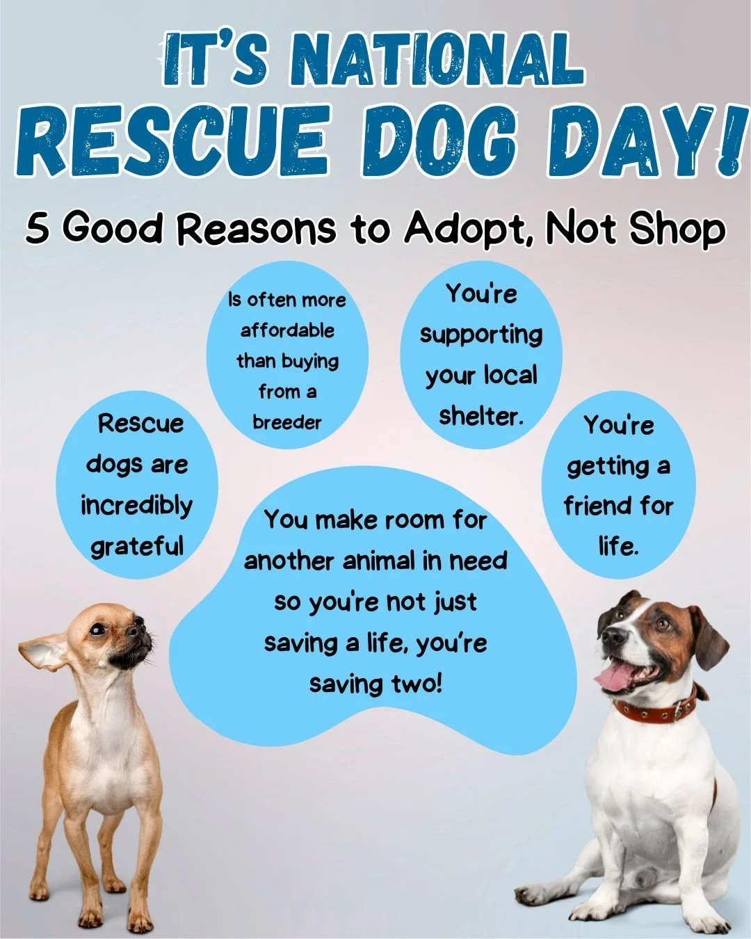 🐾 Happy National Rescue Dog Day! 🐶❤️

Did you know that millions of dogs enter shelters each year, and every adoption helps save not just one life &mdash; but creates space for another pet in need? 🏡✨

Choosing adoption over shopping helps reduce 