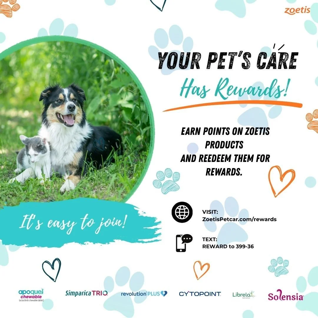 🐾 Your pet's care has rewards! 💙

Did you know you can earn points on eligible Zoetis products and services? It's free to join, easy to use, and rewards you for helping keep your pet healthy!

⭐ Earn points on eligible purchases
🎁 Redeem points fo