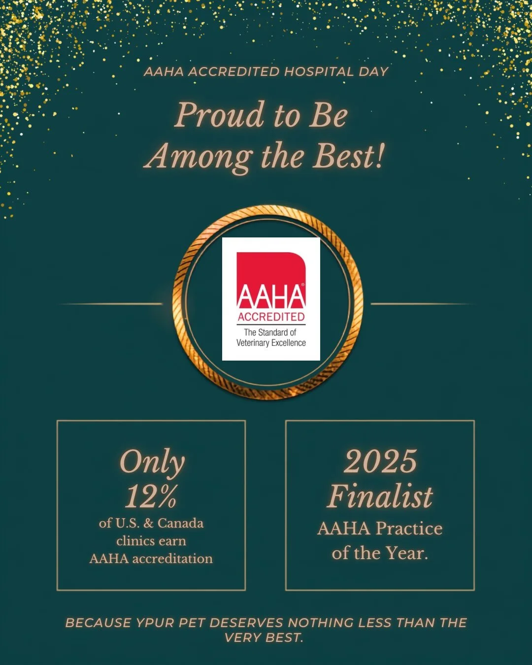 We are a little late to the party but this one is worth celebrating! 🎉💙

July 22nd was AAHA-Accredited Hospital Day and as a proud AAHA-accredited clinic, it is a day that means a great deal to our entire team. Only 12% of veterinary clinics in the