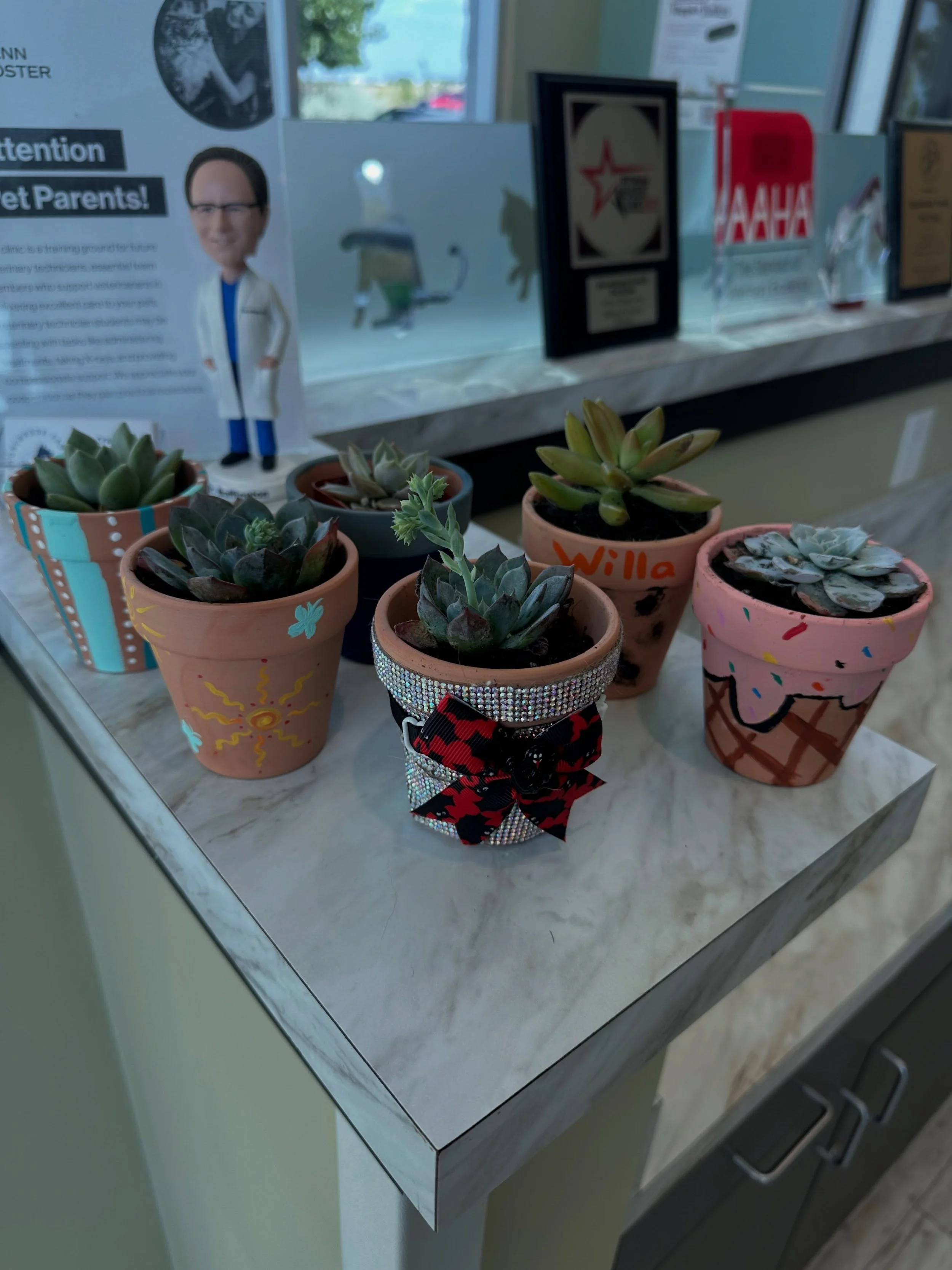 Our team recently got together for a little creativity, a lot of laughter, and some seriously impressive artistic talent &mdash; we painted pots and planted succulents as a reminder that the best things grow together. 🪴✨