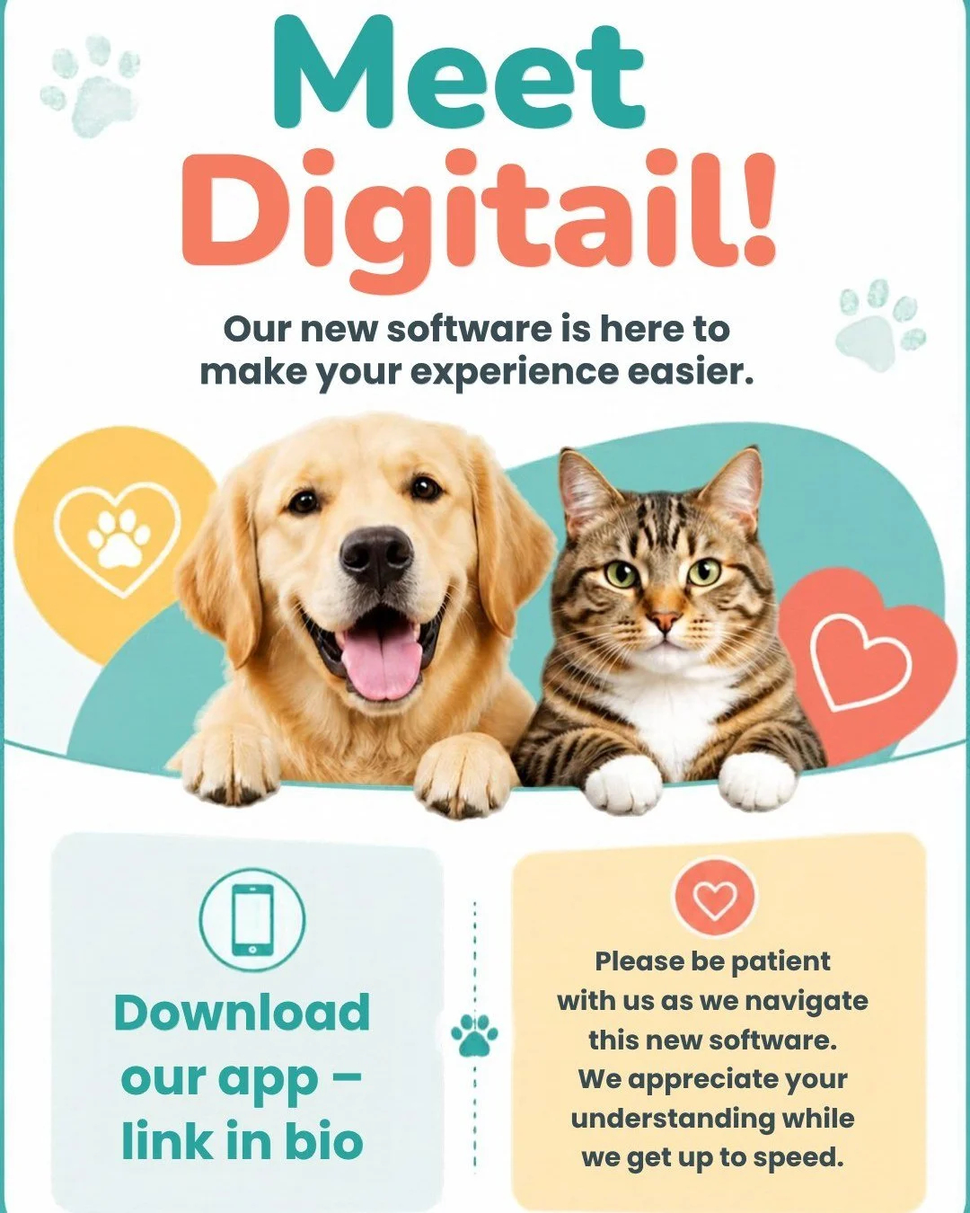 Big news, Stonebrook family - We are leveling up. 💙🐾

We are so excited to introduce Digitail, our brand new all-in-one client app that is going to make staying connected with us easier than ever before. We have been working hard behind the scenes 