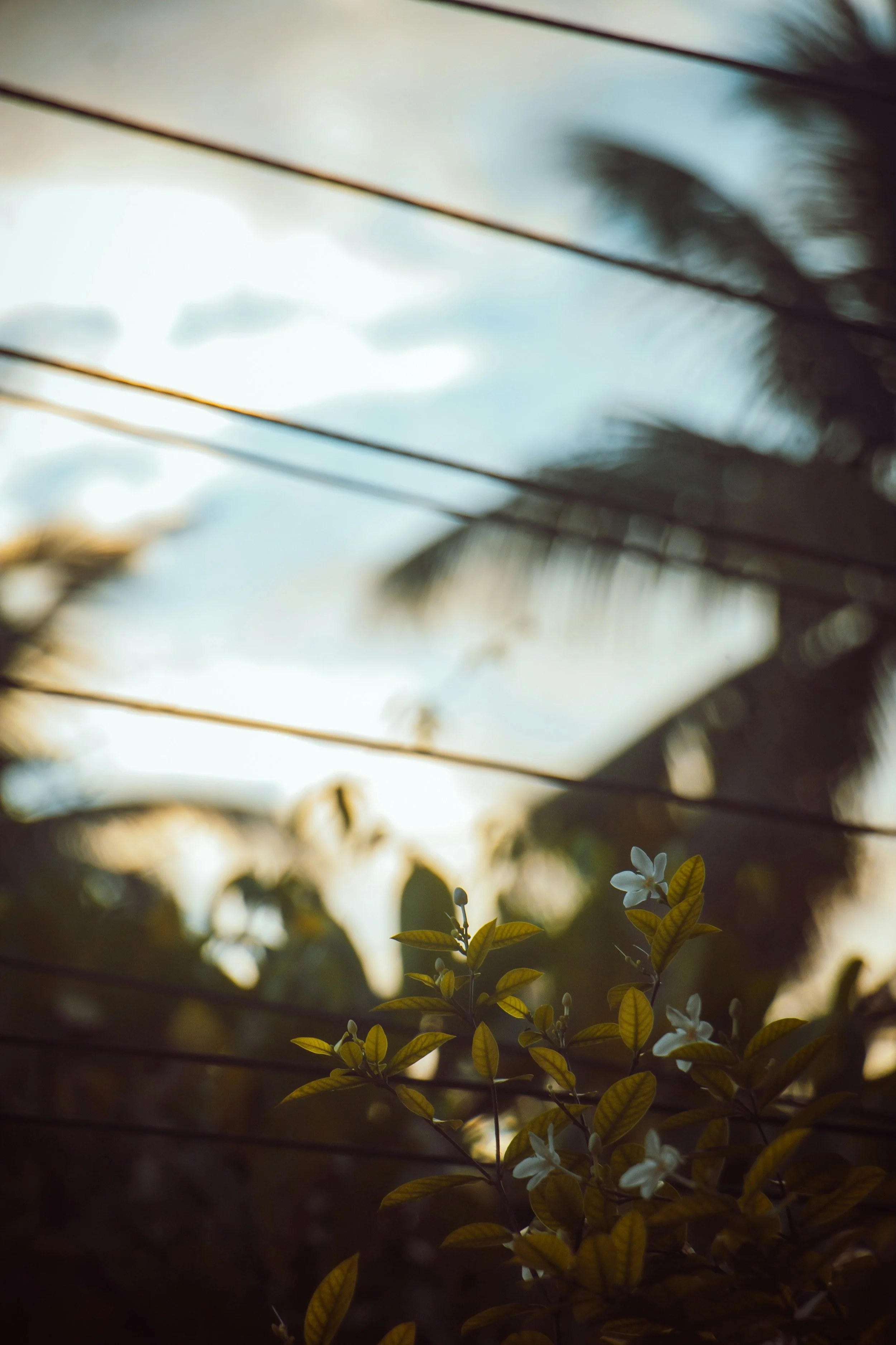 End of Summer Blues: Why It Happens and How to Ease the Transition