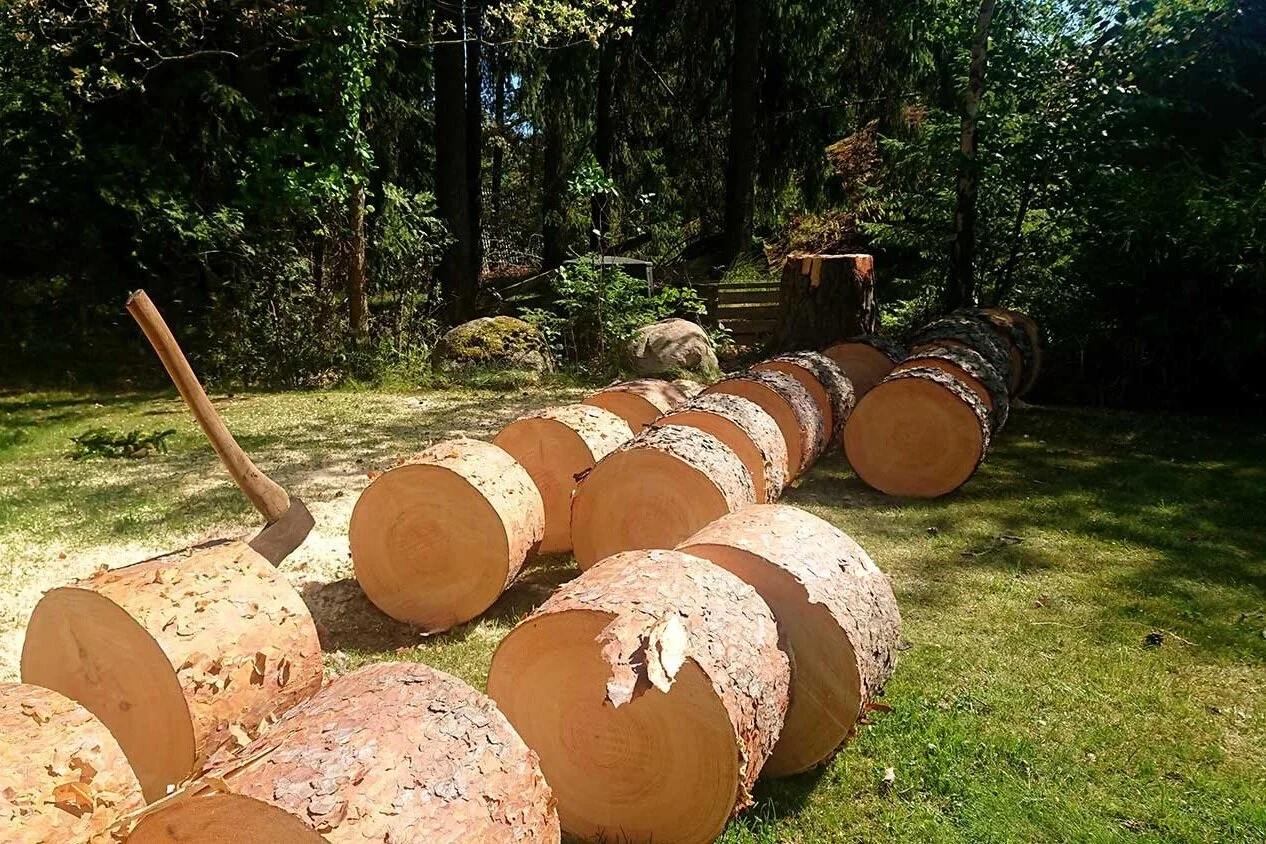 tradfallning-kubbar-slottskogen.jpg