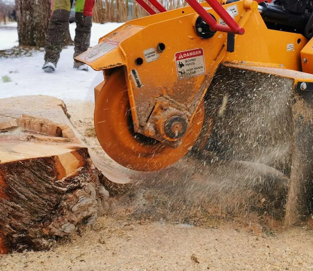 Fräsa bort stubbe, Uppsala med omnejd, ända ut till kusten. Slottskogen.
