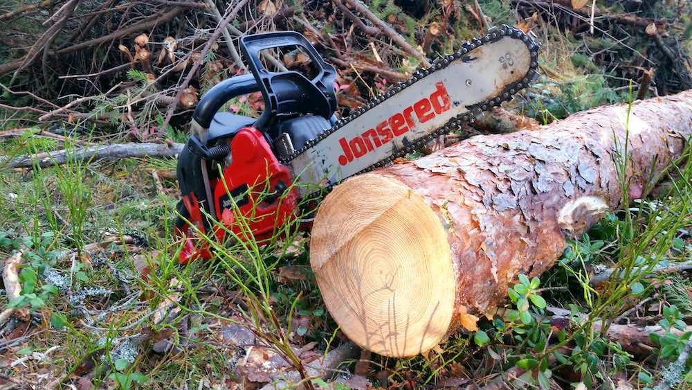 Fälla träd i Uppsala med omnejd, ända ut till kusten, inklusive öar. Slottskogen.