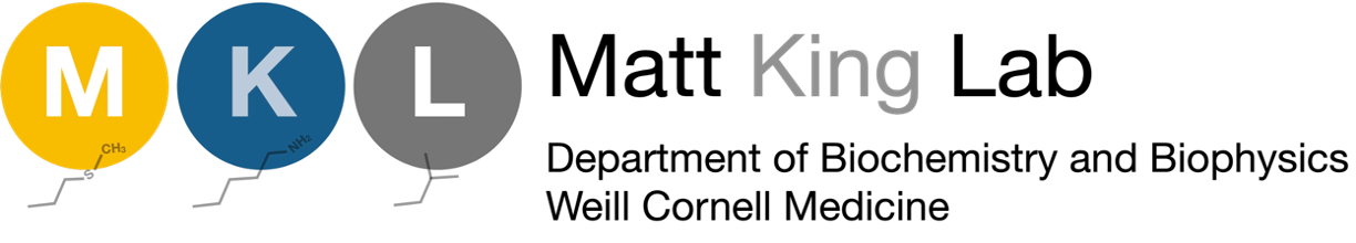 Matt King Lab