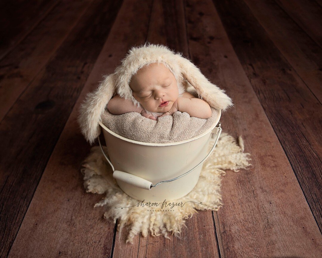 Check out this little Easter bunny!

www.sharonfrazierphotography.com

#easter #easterbunny #newbornphotograoher #newborns