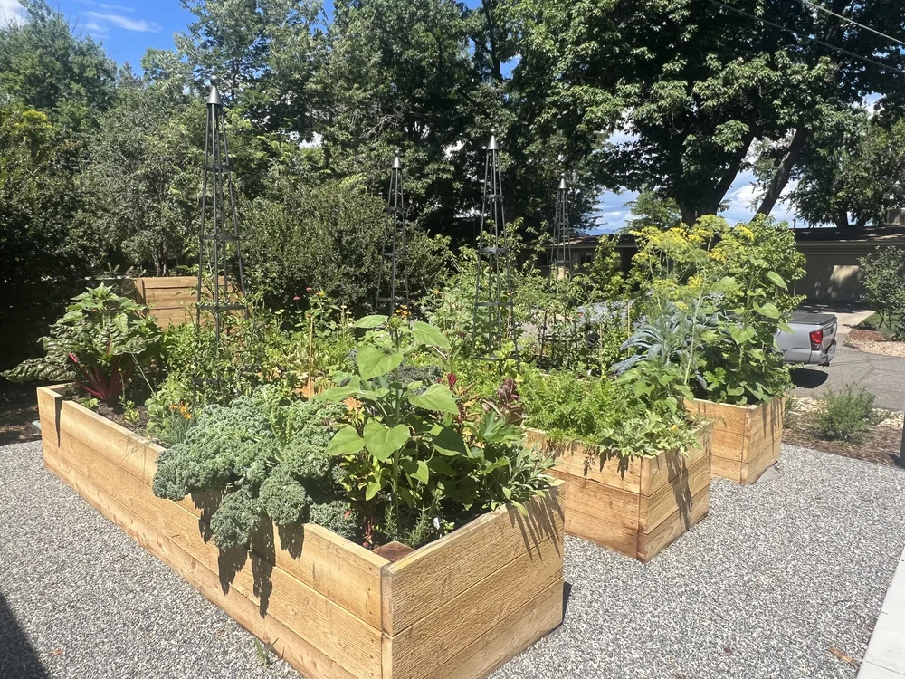Auntie M's Garden | Pyramid Trellis  Auntie M's Garden