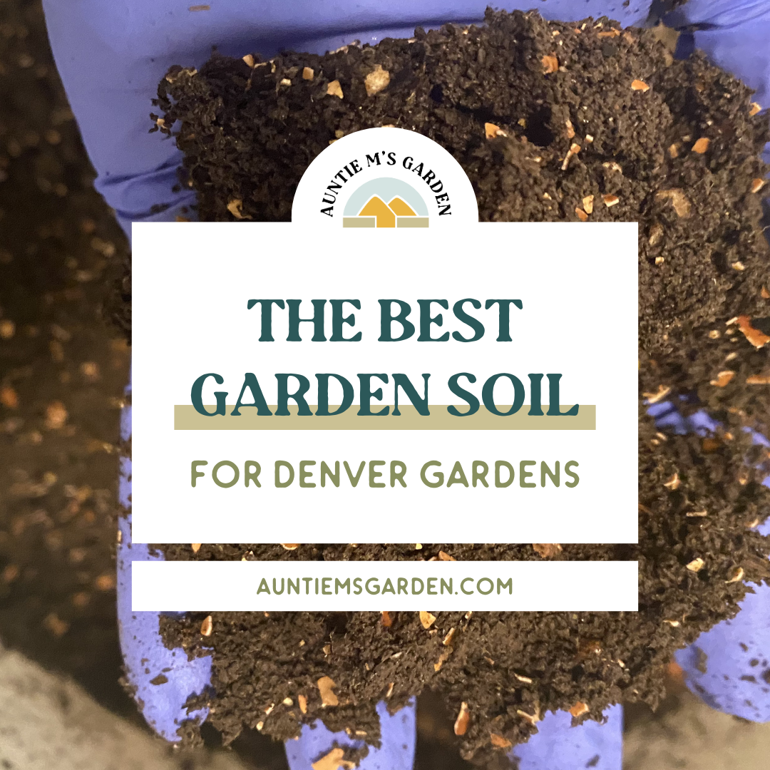 Healthy Kitchen Garden Soil: The Complete Guide for Denver Gardeners