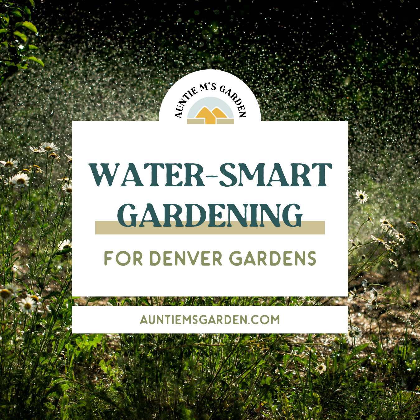 Water-Smart Gardening in Denver: How to Protect Your Garden (and Your Bill) This Season