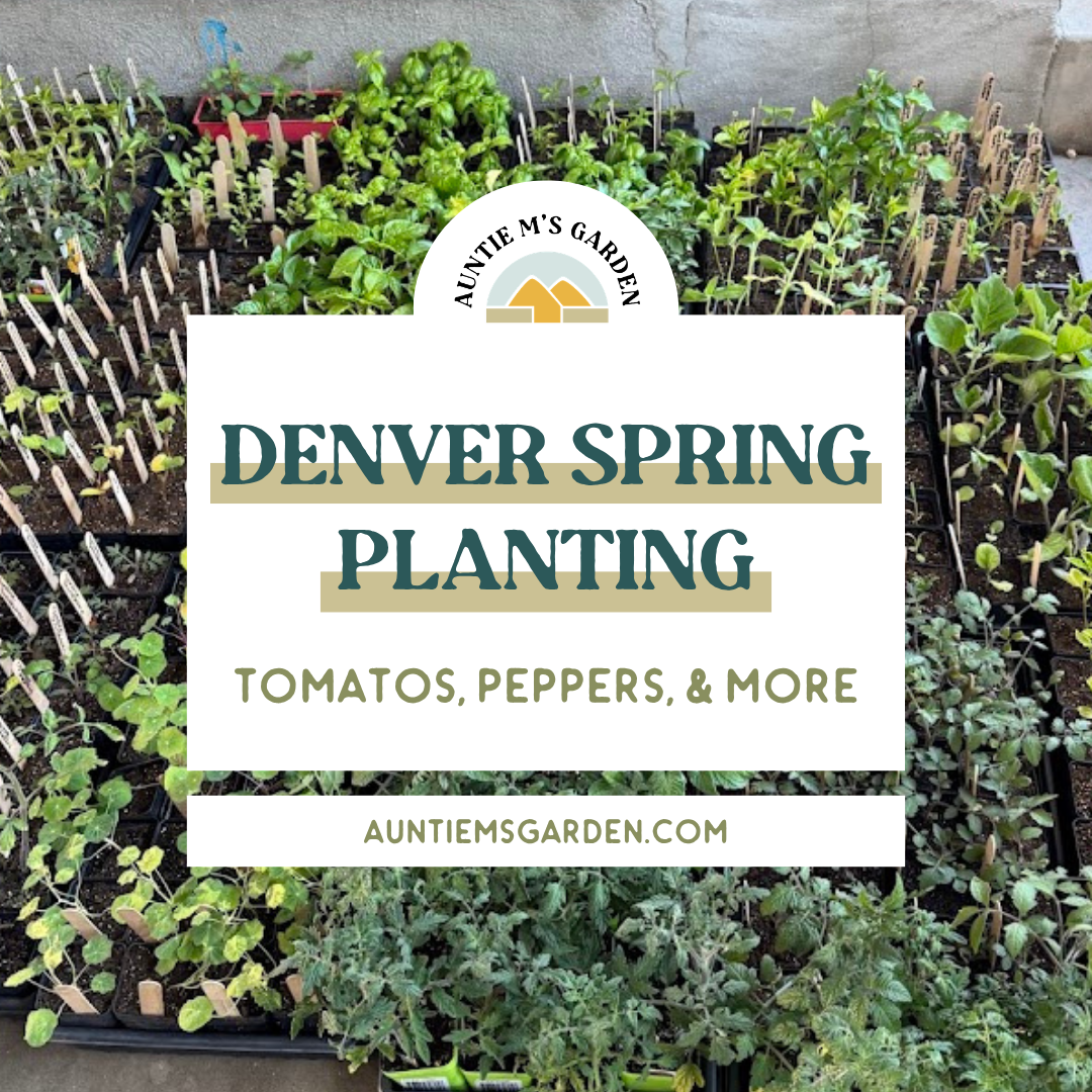 Denver Spring Planting Guide: Tomatoes, Peppers, and More