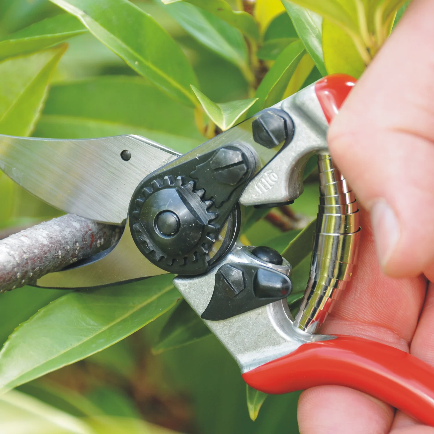 The 11 Best Gardening Tools, Tested and Reviewed