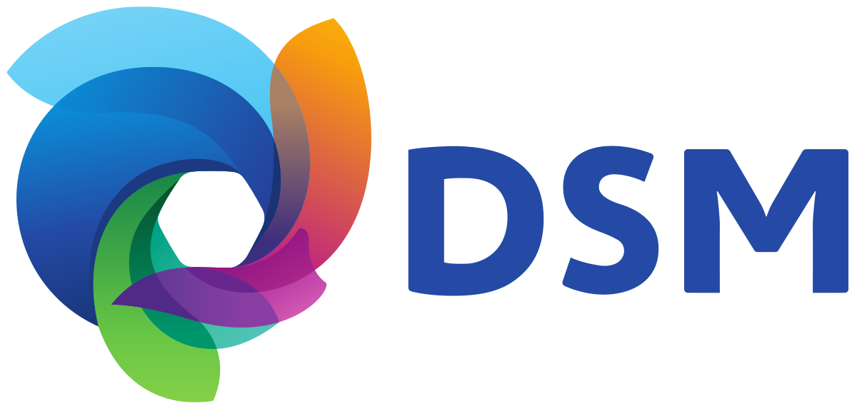 Team DSM Logo
