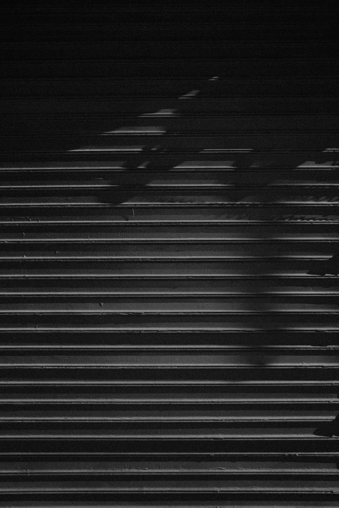 DSCF5634-2.jpg