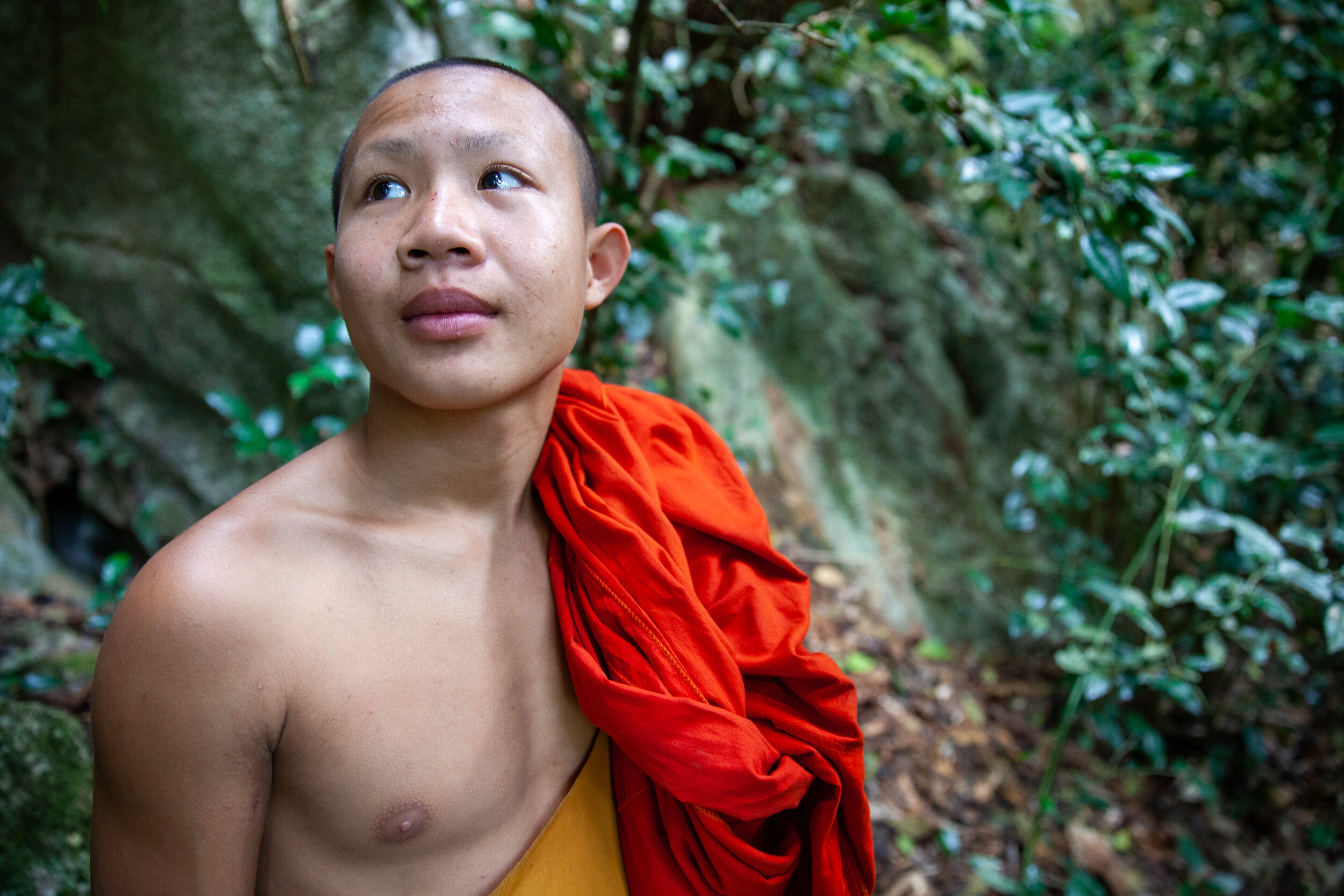 LAOS-15-00274-JA.jpg