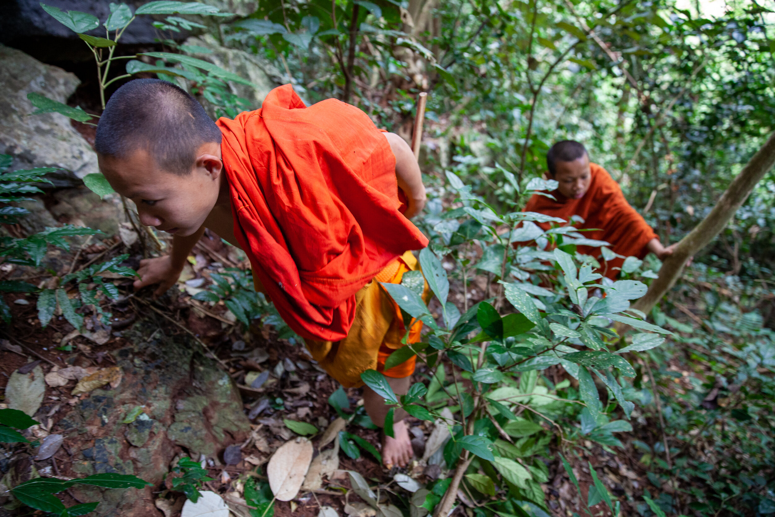 LAOS-15-00253-JA.jpg