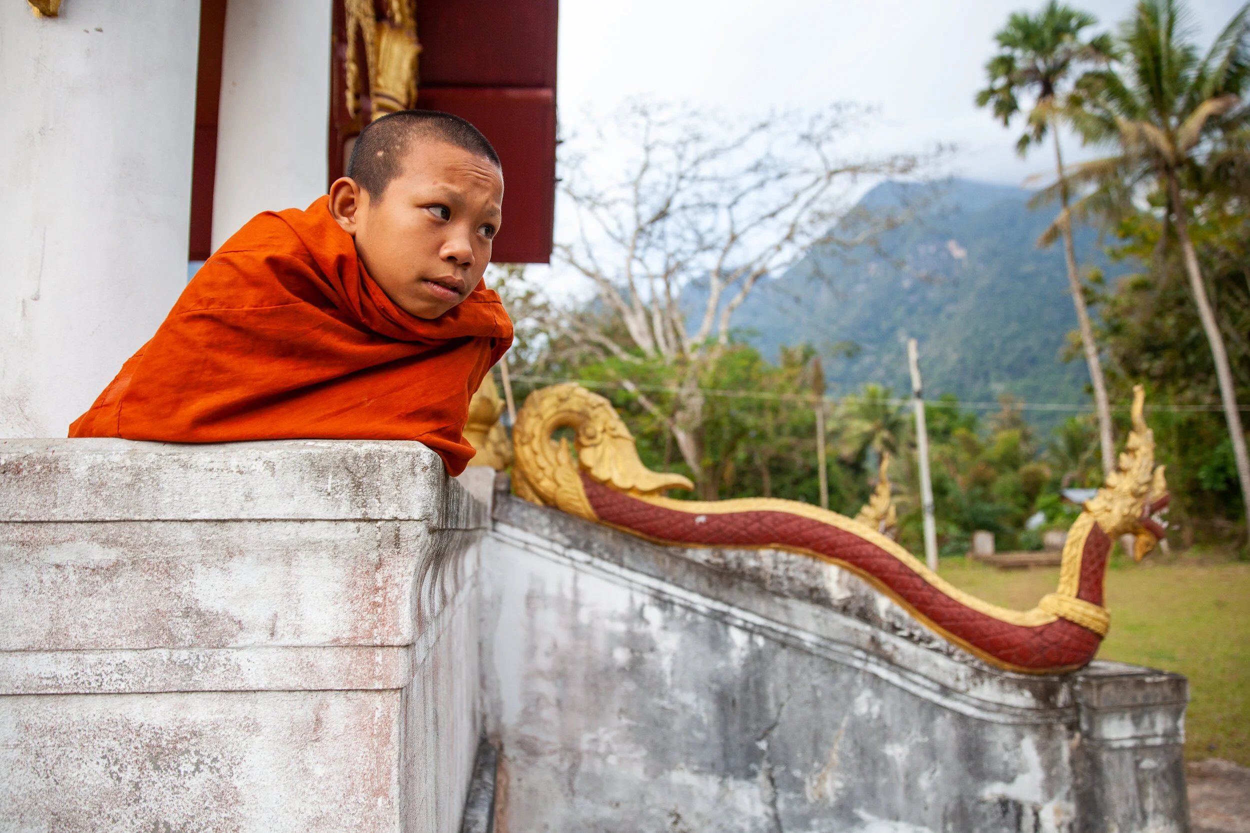 LAOS-15-00198-JA.jpg
