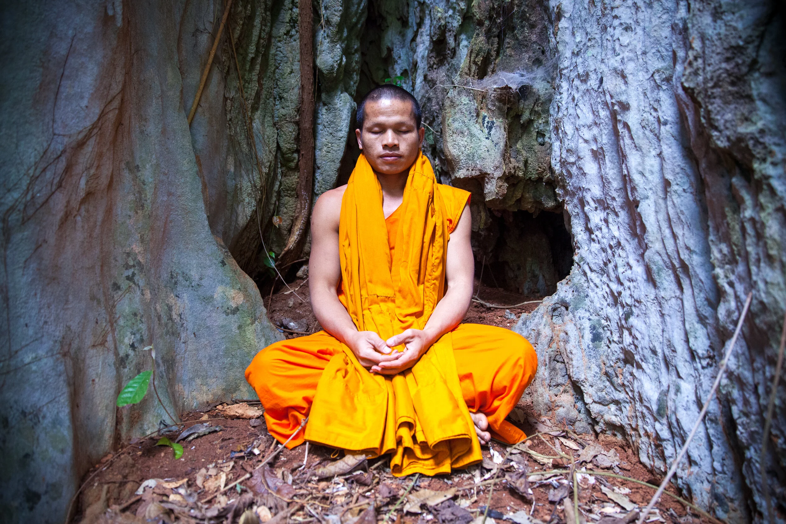 LAOS-15-00241-JA.jpg