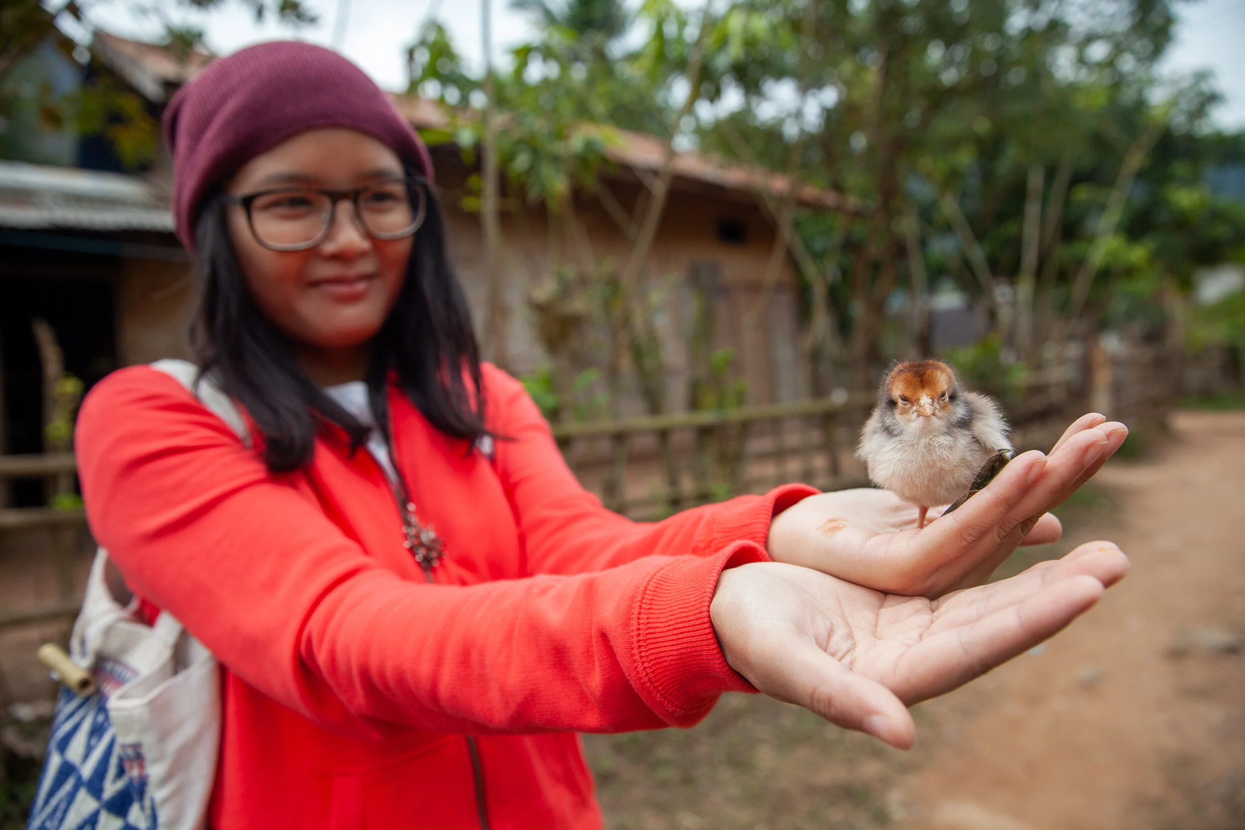 LAOS-15-00055-JA.jpg