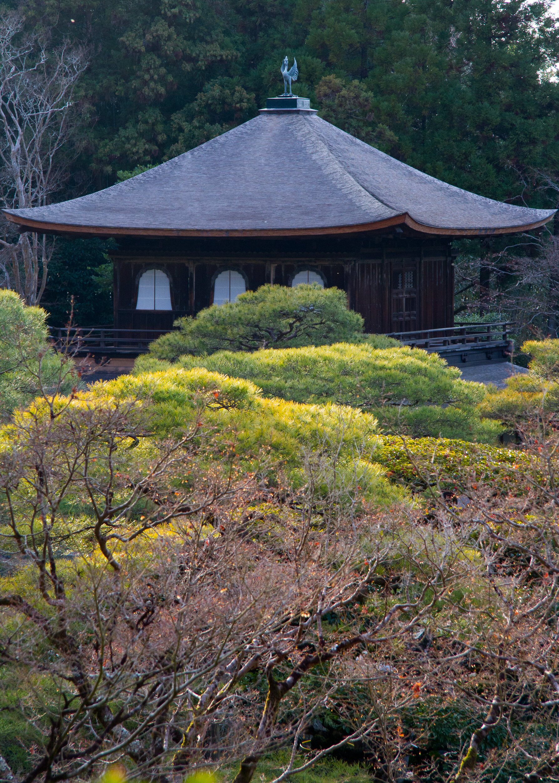 JAPAN-121227-00518-JA.jpg