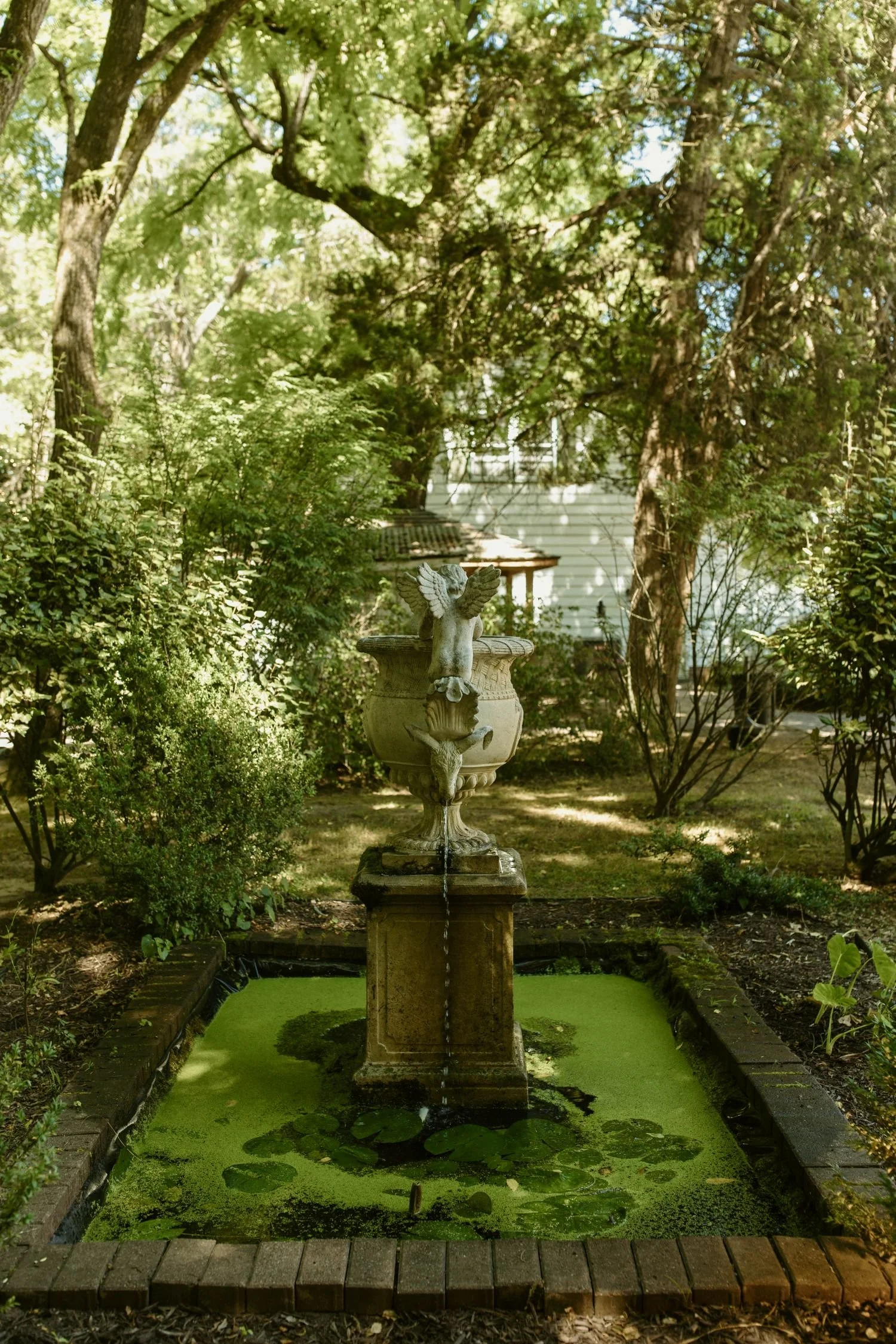 A sideview of the secret garden fountain at Historic Jasmine, a private garden wedding venue near Richmond, VA.